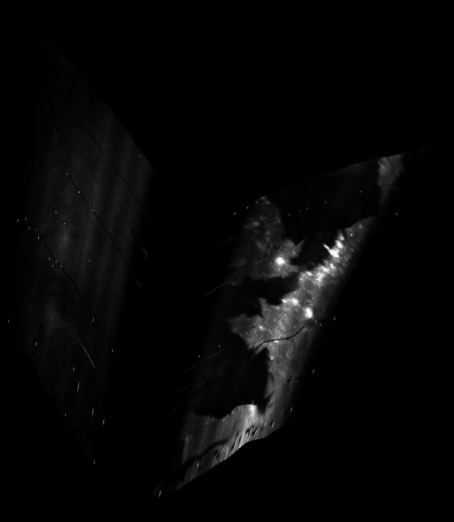 ascat_grayscale_proj_backward.png